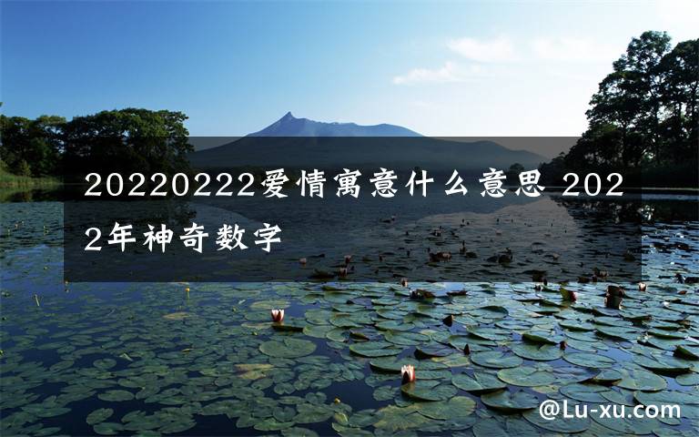 20220222爱情寓意什么意思 2022年神奇数字