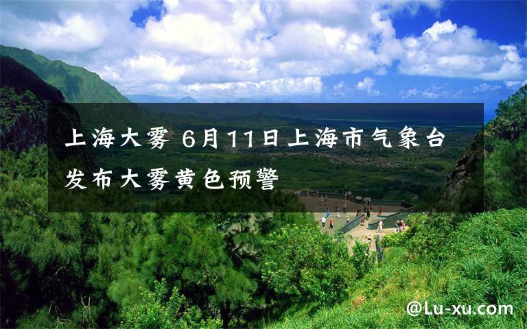 上海大雾 6月11日上海市气象台发布大雾黄色预警