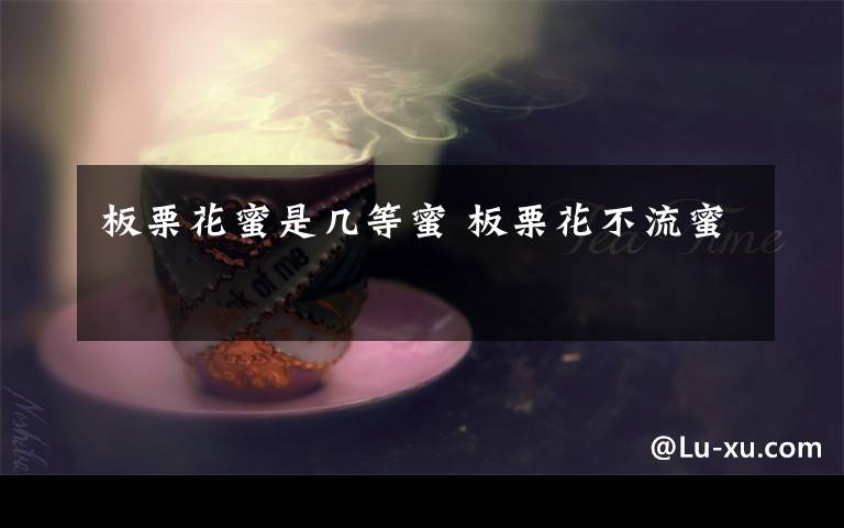 板栗花蜜是几等蜜 板栗花不流蜜