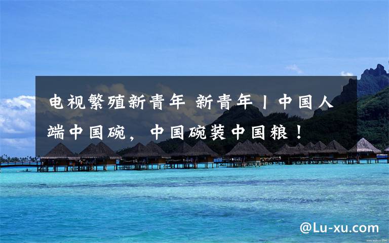 电视繁殖新青年 新青年丨中国人端中国碗，中国碗装中国粮！文章配图