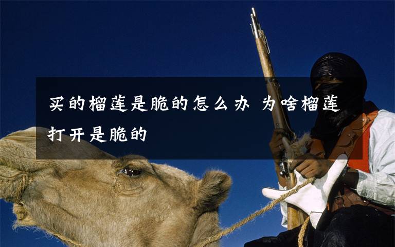 买的榴莲是脆的怎么办 为啥榴莲打开是脆的