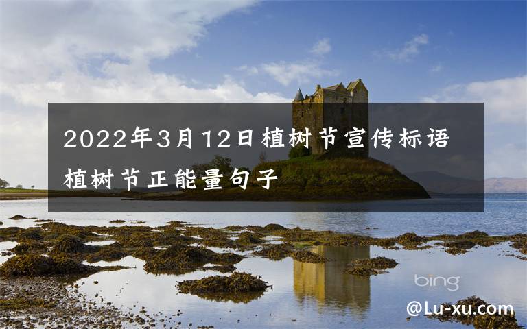 2022年3月12日植树节宣传标语 植树节正能量句子