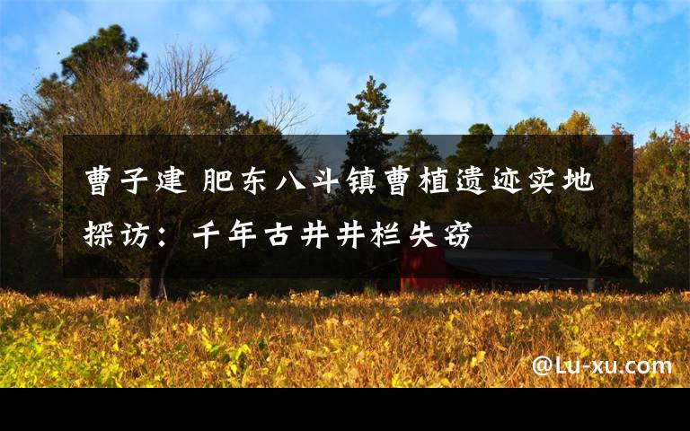 曹子建 肥东八斗镇曹植遗迹实地探访：千年古井井栏失窃