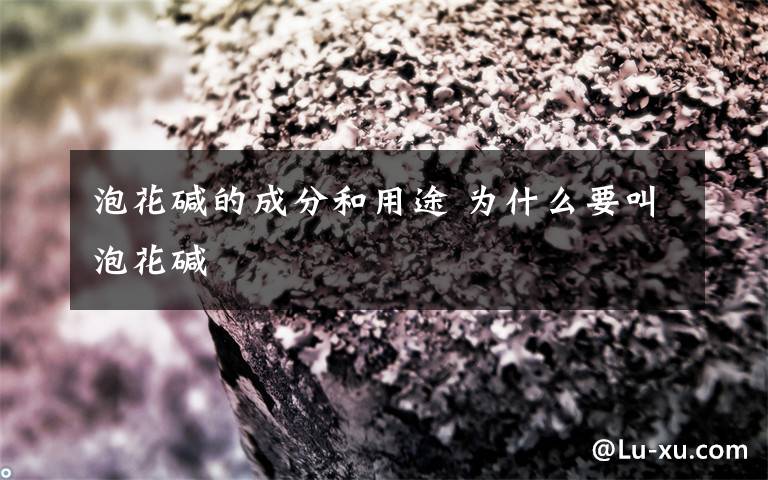 泡花碱的成分和用途 为什么要叫泡花碱