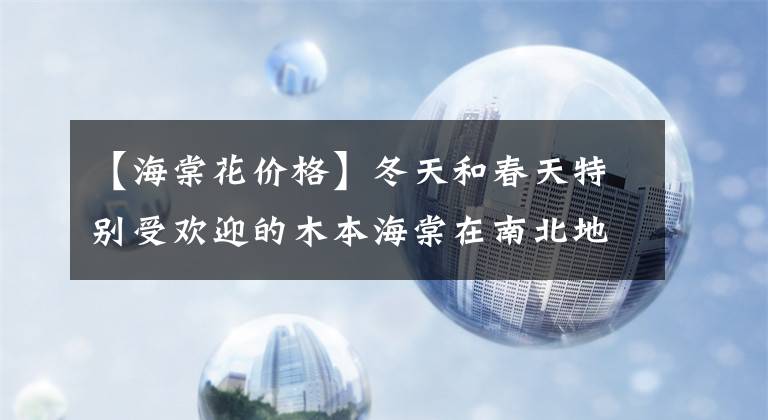 【海棠花价格】冬天和春天特别受欢迎的木本海棠在南北地区都可以种植，不管不顾也能长文章配图