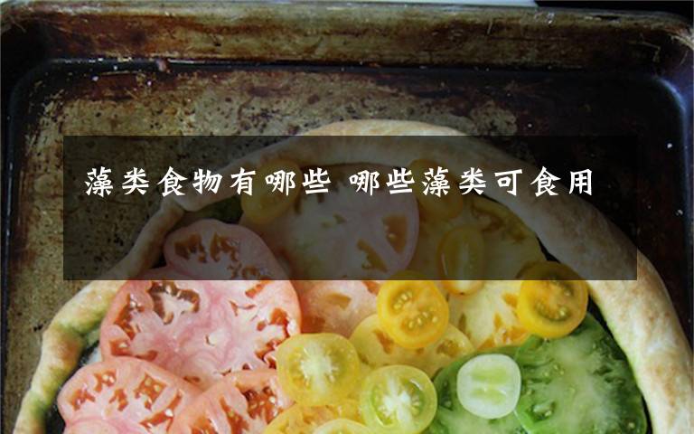 藻类食物有哪些 哪些藻类可食用文章配图