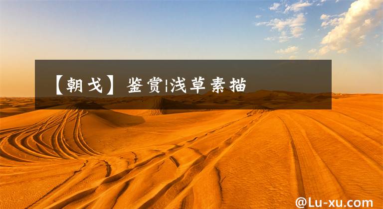 【朝戈】鉴赏|浅草素描文章配图