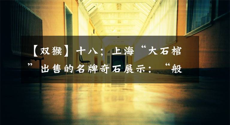 【双猴】十八；上海“大石棺”出售的名牌奇石展示：“般若”