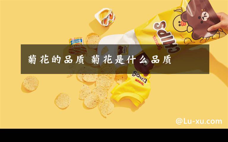 菊花的品质 菊花是什么品质