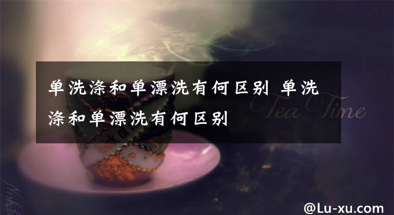 单洗涤和单漂洗有何区别 单洗涤和单漂洗有何区别文章配图