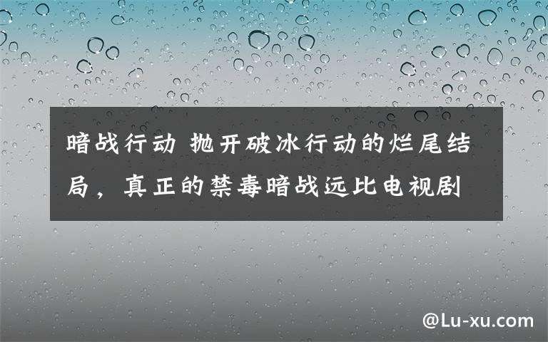 暗战行动 抛开破冰行动的烂尾结局，真正的禁毒暗战远比电视剧冷酷