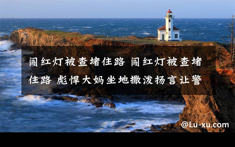 闯红灯被查堵住路 闯红灯被查堵住路 彪悍大妈坐地撒泼扬言让警察道歉