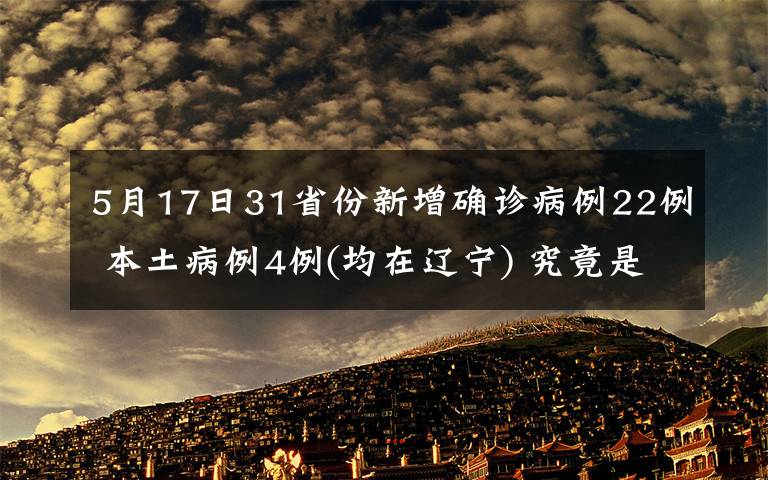 5月17日31省份新增确诊病例22例 本土病例4例(均在辽宁) 究竟是怎么一回事?