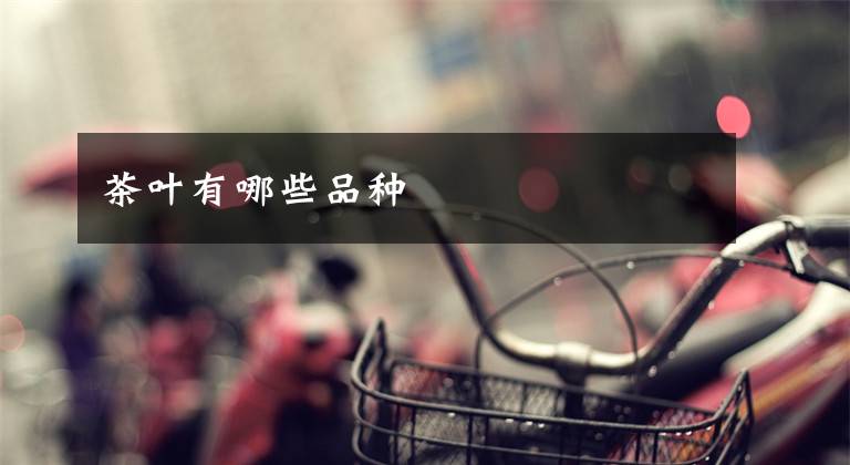 茶叶有哪些品种文章配图
