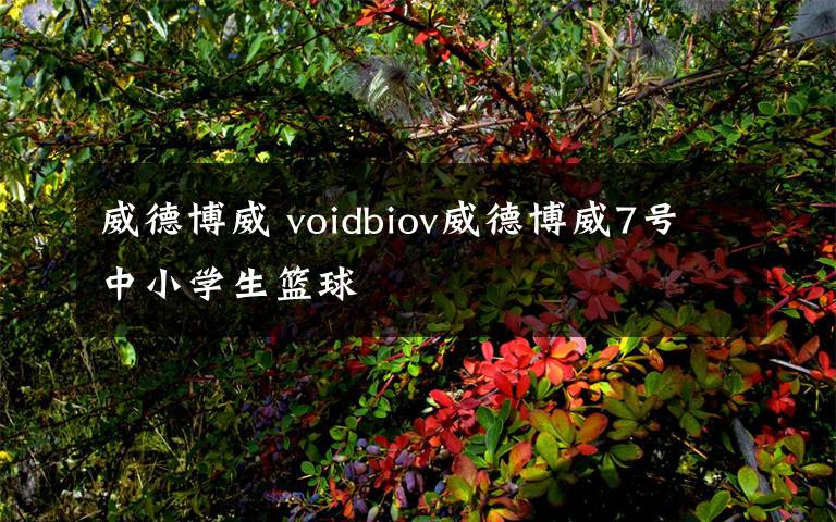 威德博威 voidbiov威德博威7号中小学生篮球