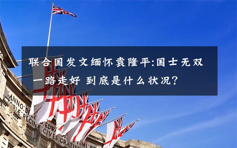 联合国发文缅怀袁隆平:国士无双 一路走好 到底是什么状况？