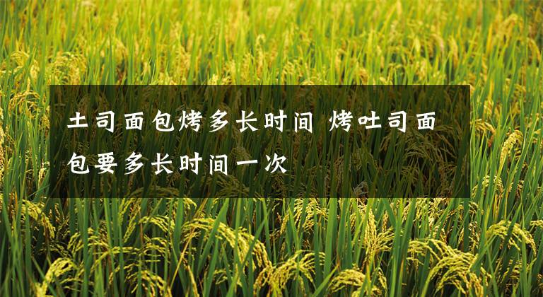 土司面包烤多长时间 烤吐司面包要多长时间一次文章配图
