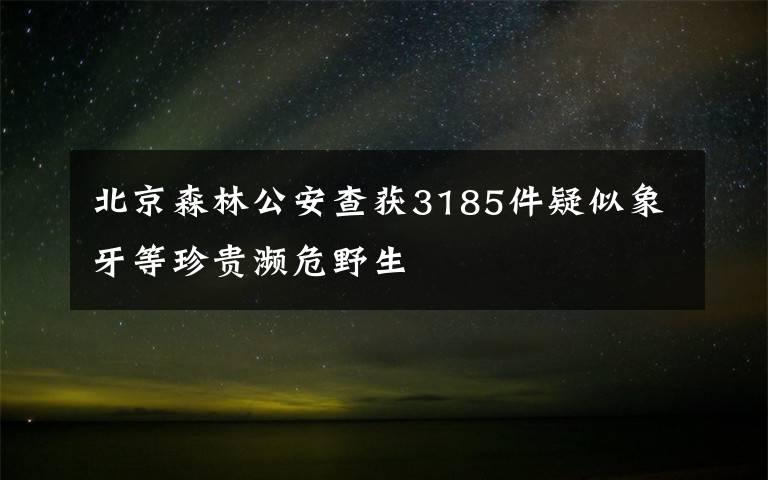 北京森林公安查获3185件疑似象牙等珍贵濒危野生