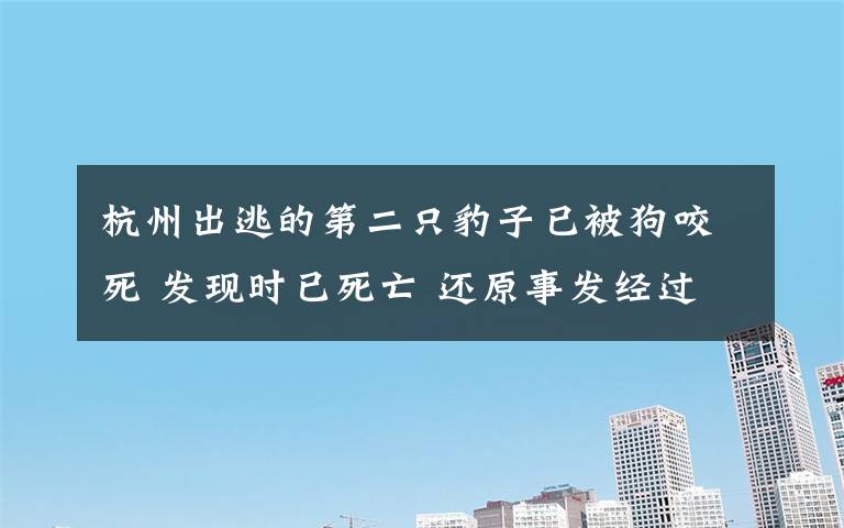 杭州出逃的第二只豹子已被狗咬死 发现时已死亡 还原事发经过及背后原因！