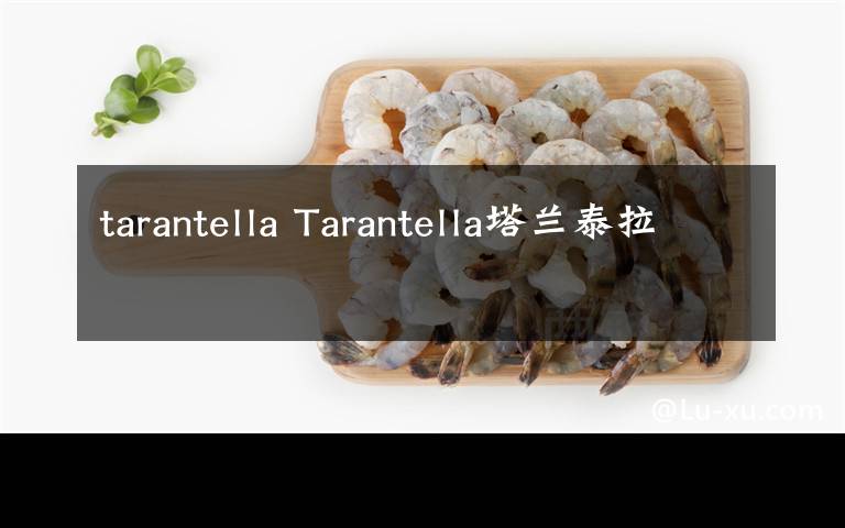 tarantella Tarantella塔兰泰拉