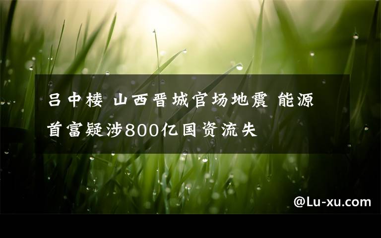 吕中楼 山西晋城官场地震 能源首富疑涉800亿国资流失