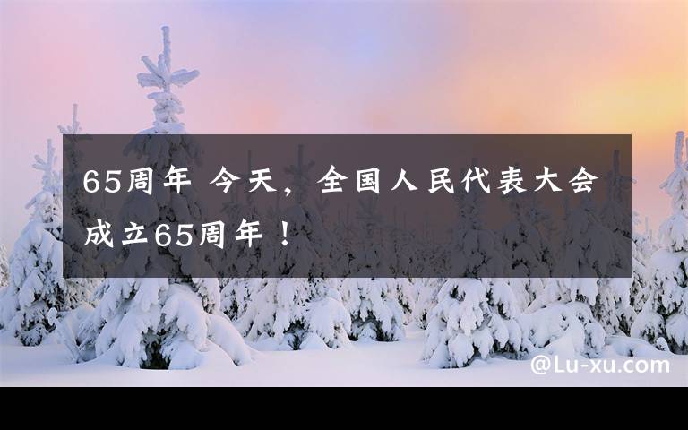 65周年 今天，全国人民代表大会成立65周年！