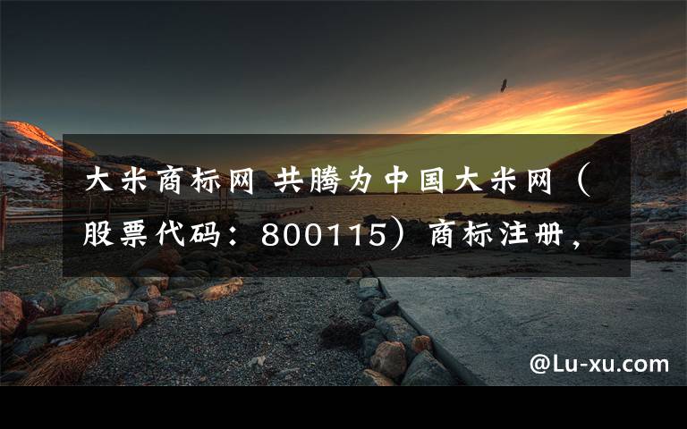 大米商标网 共腾为中国大米网（股票代码：800115）商标注册，商标查询