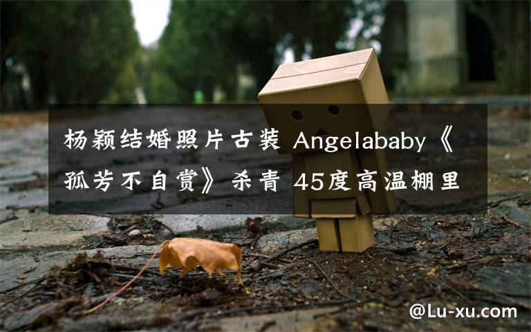 杨颖结婚照片古装 Angelababy《孤芳不自赏》杀青 45度高温棚里穿古装拍戏