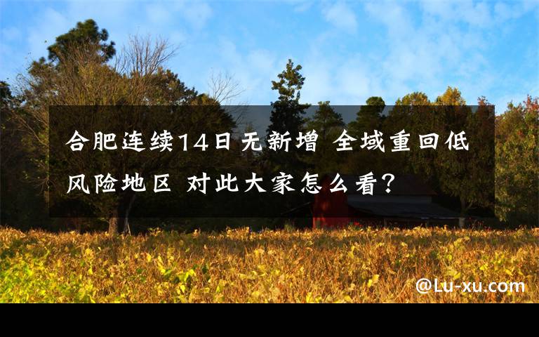 合肥连续14日无新增 全域重回低风险地区 对此大家怎么看？