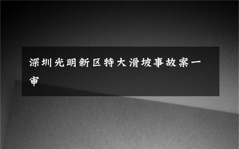 深圳光明新区特大滑坡事故案一审