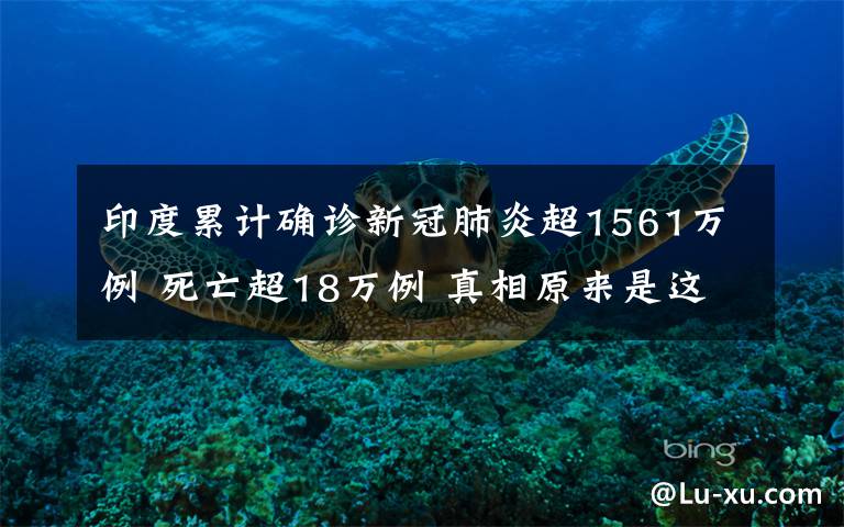 印度累计确诊新冠肺炎超1561万例 死亡超18万例 真相原来是这样！