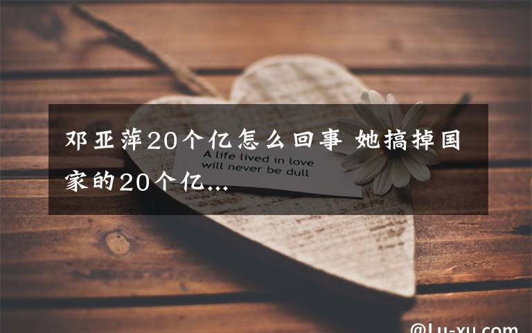 邓亚萍20个亿怎么回事 她搞掉国家的20个亿...文章配图