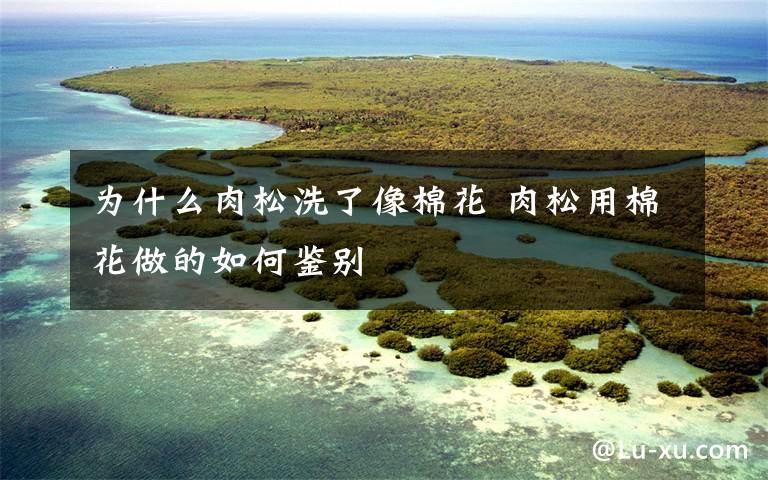 为什么肉松洗了像棉花 肉松用棉花做的如何鉴别