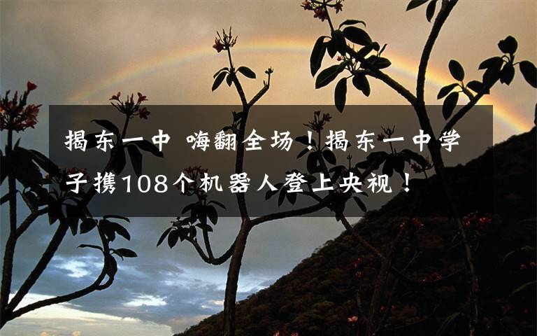 揭东一中 嗨翻全场！揭东一中学子携108个机器人登上央视！