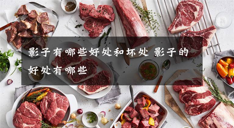 影子有哪些好处和坏处 影子的好处有哪些文章配图