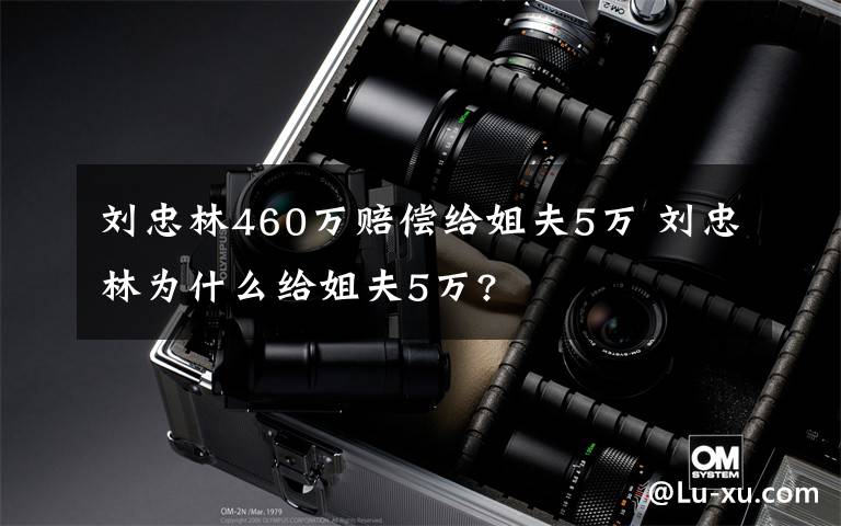 刘忠林460万赔偿给姐夫5万 刘忠林为什么给姐夫5万?