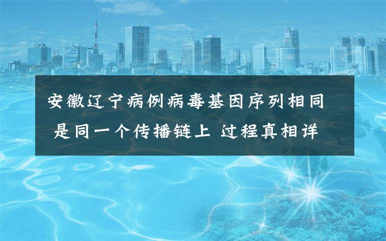 安徽辽宁病例病毒基因序列相同 是同一个传播链上 过程真相详细揭秘！