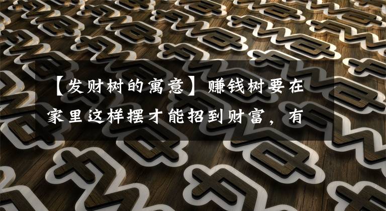 【发财树的寓意】赚钱树要在家里这样摆才能招到财富，有钱人都可以这样摆文章配图