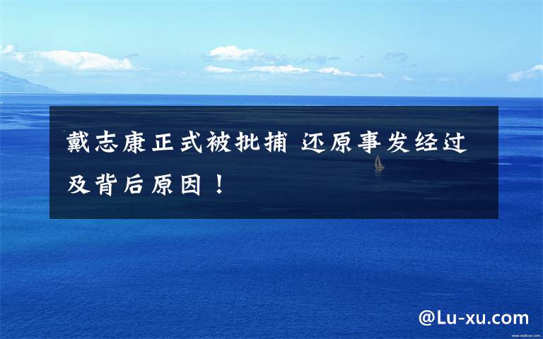 戴志康正式被批捕 还原事发经过及背后原因！文章配图