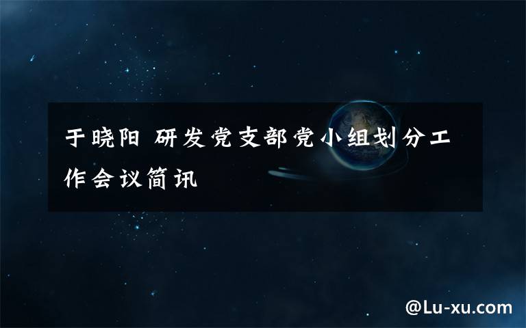 于晓阳 研发党支部党小组划分工作会议简讯