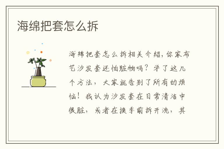 海绵把套怎么拆文章配图