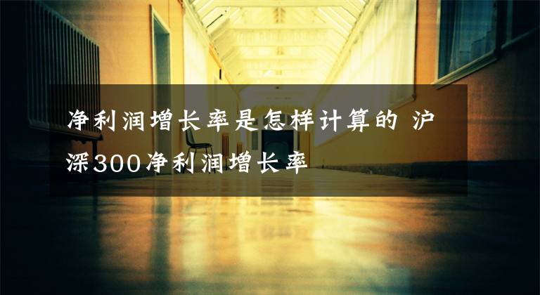 净利润增长率是怎样计算的 沪深300净利润增长率文章配图