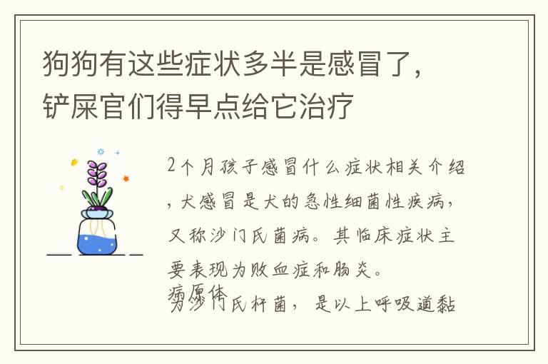 狗狗有这些症状多半是感冒了，铲屎官们得早点给它治疗