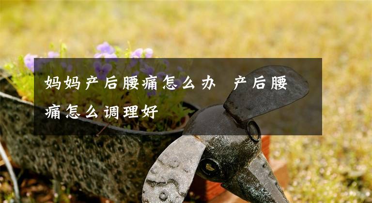 妈妈产后腰痛怎么办 产后腰痛怎么调理好文章配图