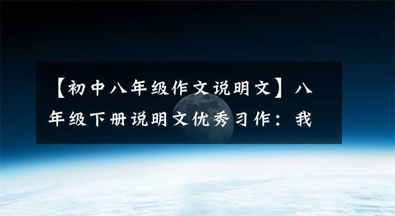 【初中八年级作文说明文】八年级下册说明文优秀习作：我的平板电脑