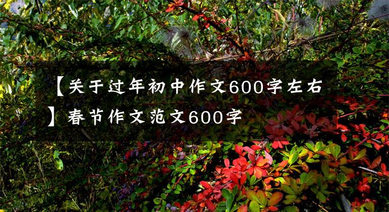 【关于过年初中作文600字左右】春节作文范文600字