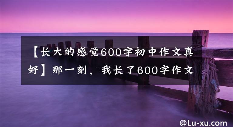 【长大的感觉600字初中作文真好】那一刻，我长了600字作文