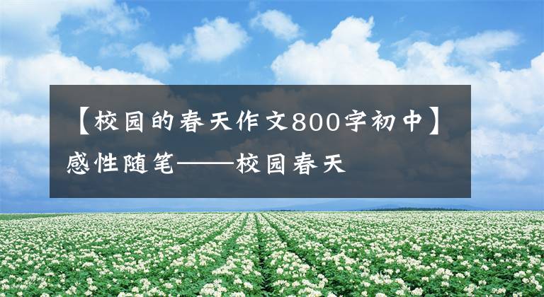 【校园的春天作文800字初中】感性随笔——校园春天