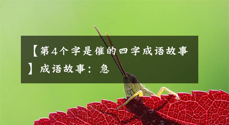 【第4个字是催的四字成语故事】成语故事：急文章配图