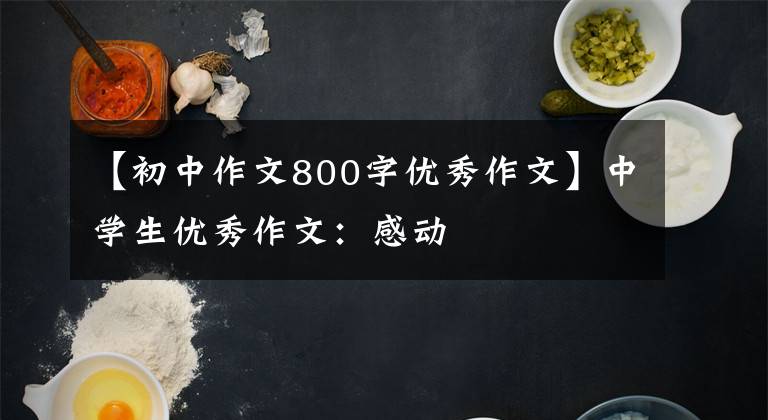 【初中作文800字优秀作文】中学生优秀作文：感动